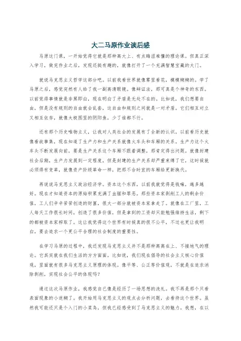 大二马原作业读后感