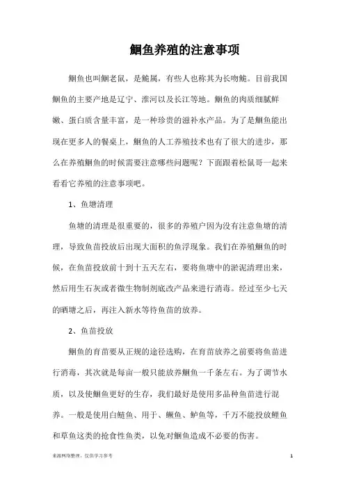 鮰鱼养殖的注意事项