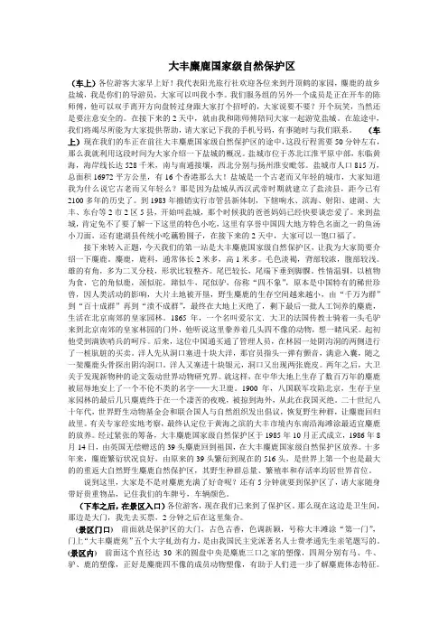 麋鹿1
