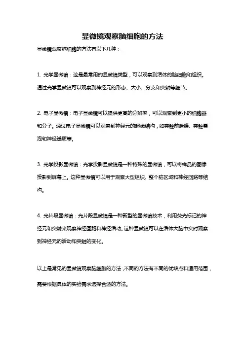 显微镜观察脑细胞的方法