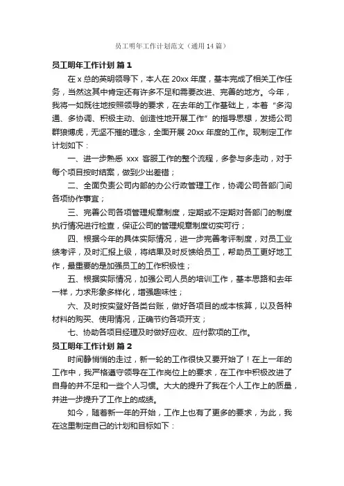 员工明年工作计划范文（通用14篇）