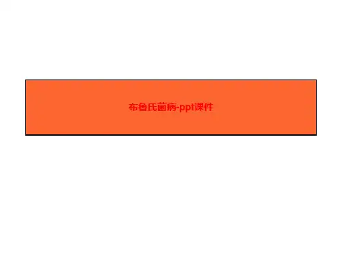 布鲁氏菌病-ppt课件
