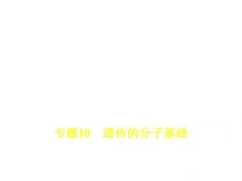 2018年高考生物(课标Ⅰ专用)复习专题测试：专题10 遗传的分子基础 (共79张PPT)