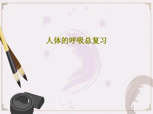 人体的呼吸总复习30页PPT