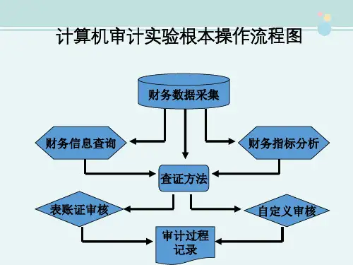 审计专业《计算机审计实验课件》