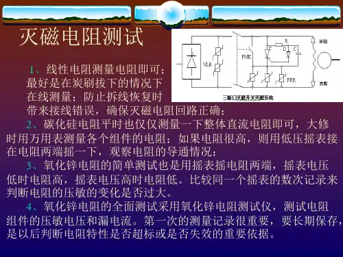 励磁维护检修与试验