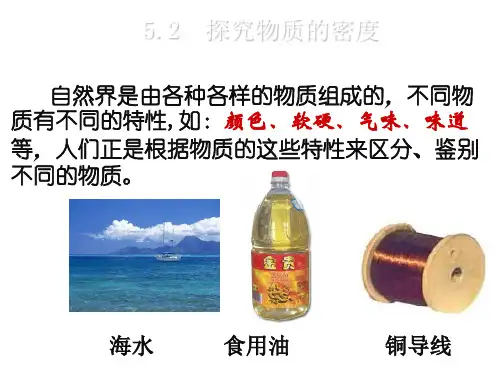 新沪粤版八年级物理上册课件3A5.2 探究物质的密度 (共16张PPT)