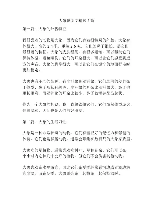 大象说明文精选5篇