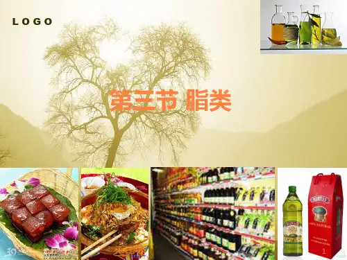烹饪营养与配餐脂类和蛋白质PPT课件