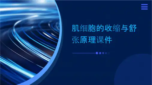 肌细胞的收缩与舒张原理课件