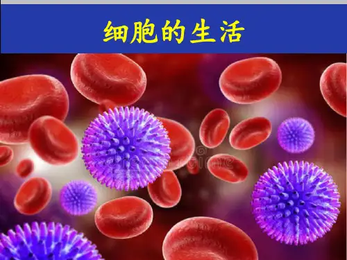 初中七年级上册生物《细胞的生活》课件