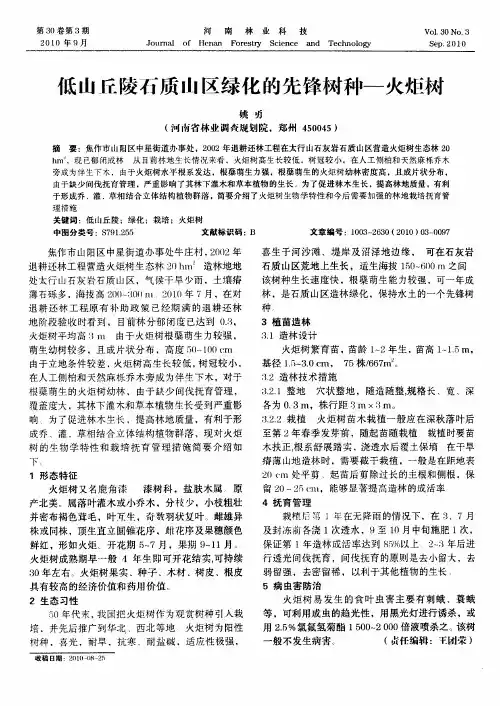 低山丘陵石质山区绿化的先锋树种—火炬树