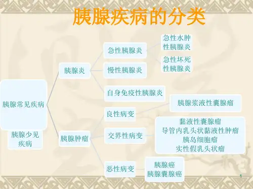 胰腺疾病的影像学诊断PPT课件