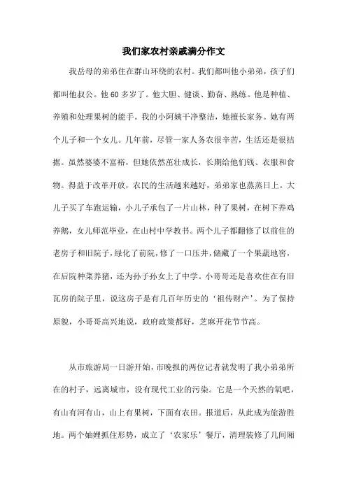 我们家农村亲戚满分作文