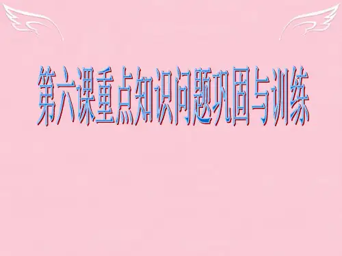 高中政治第六课重点知识复习与巩固课件人教版必修2