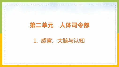 大象版2022-2023五年级科学上册《2-1感官、大脑与认知》课件