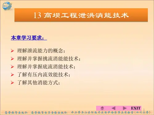 第十三章高坝工程泄洪消能技术