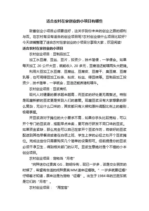 适合农村在家创业的小项目有哪些