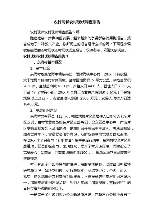 农村现状农村现状调查报告