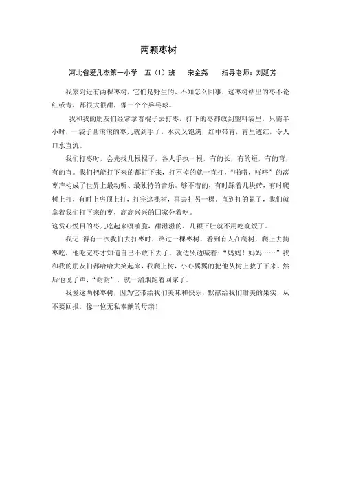 五1宋金尧《两棵枣树》