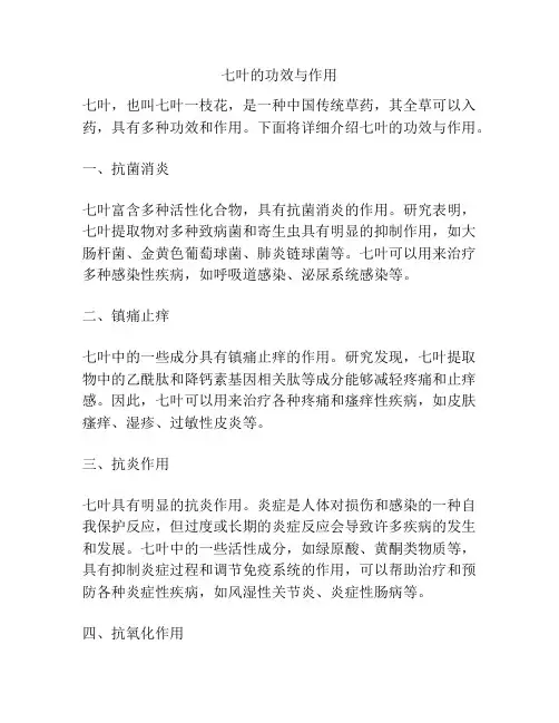 七叶的功效与作用
