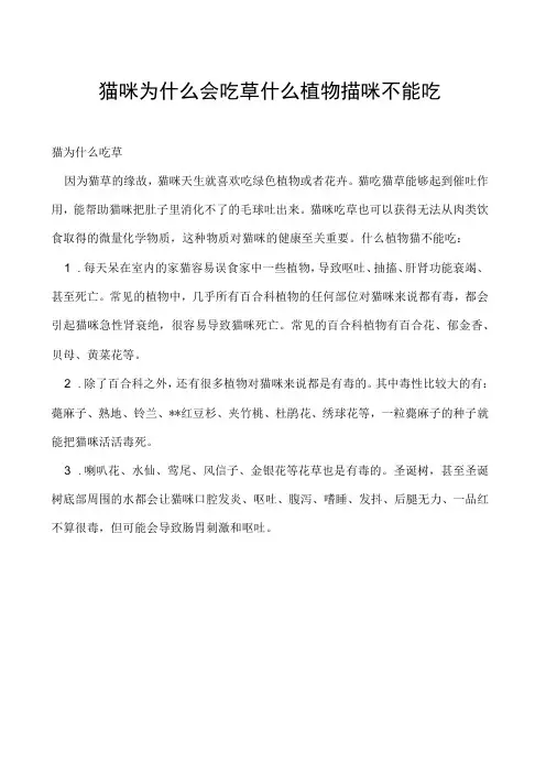 猫咪为什么会吃草 什么植物猫咪不能吃