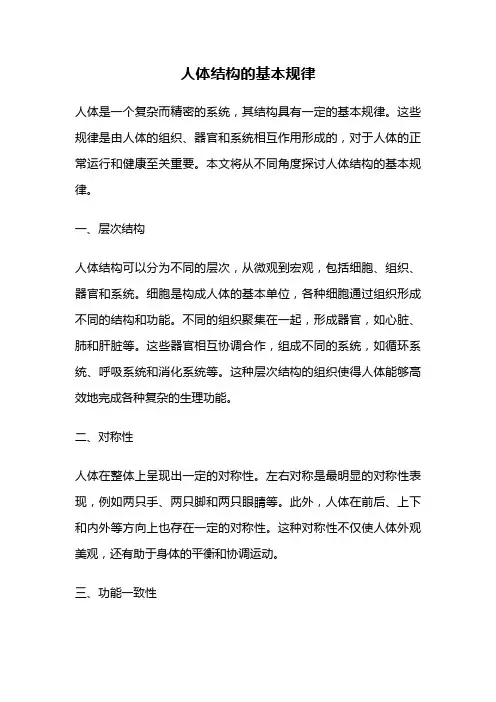 人体结构的基本规律