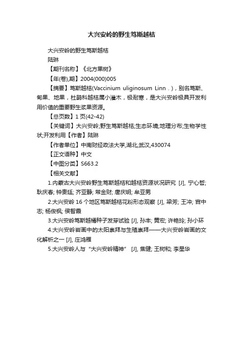大兴安岭的野生笃斯越桔