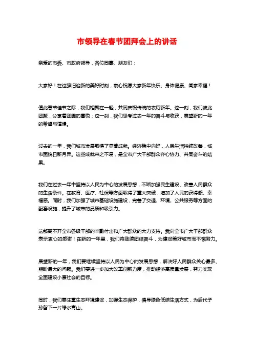 市领导在春节团拜会上的讲话