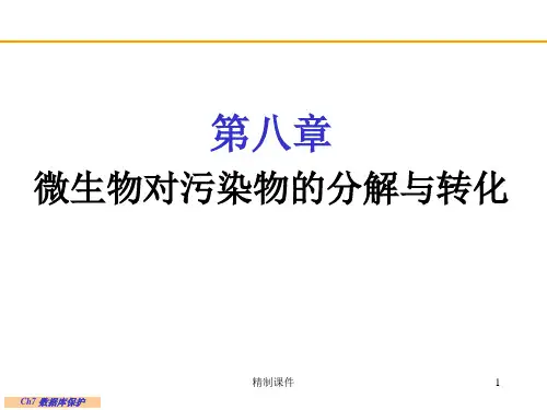 微生物对污染物转化,废水处理中微生物[高级课件]
