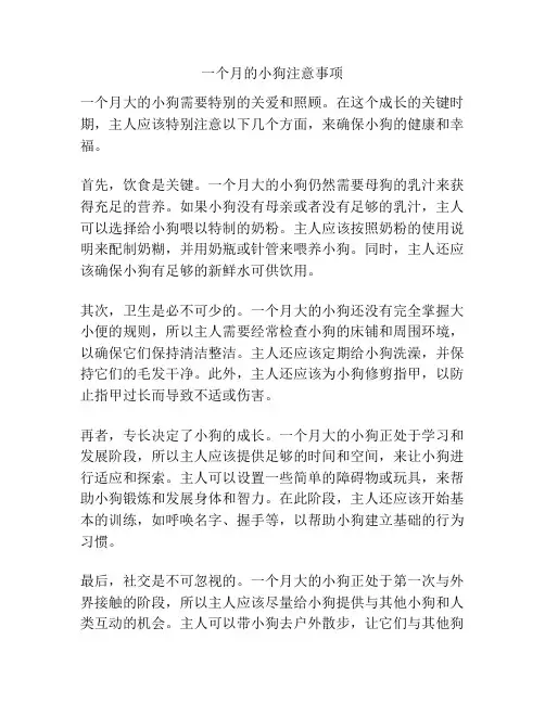 一个月的小狗注意事项