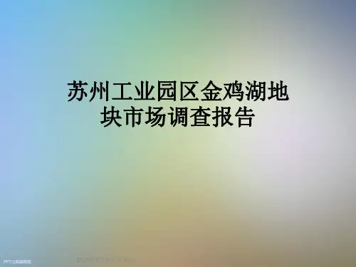 苏州工业园区金鸡湖地块市场调查报告