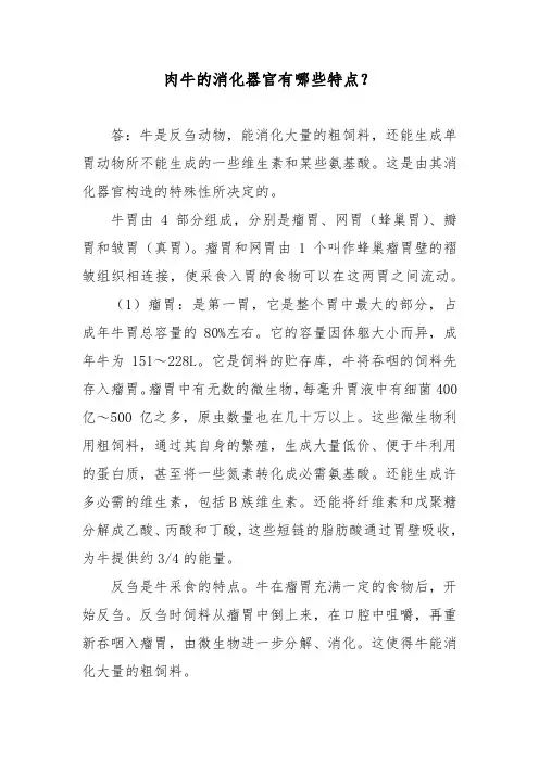 肉牛的消化器官有哪些特点？
