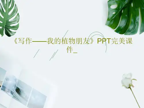 《写作——我的植物朋友》PPT完美课件_共30页文档
