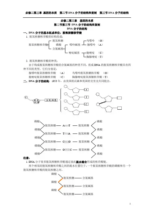 必修二第三章第二节第三节DNA的分子结构和复制