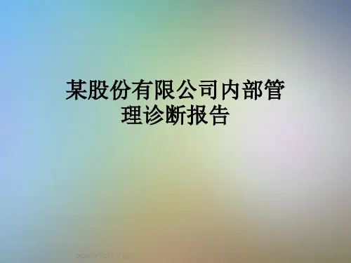 某股份有限公司内部管理诊断报告