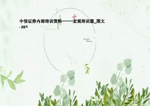 中信证券内部培训资料-----宏观培训篇_图文