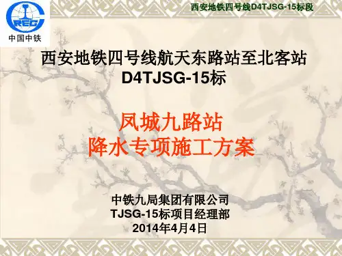 降水专项方案
