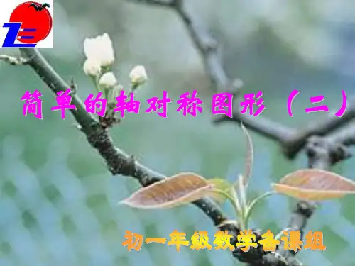 七年级数学简单的轴对称图形2(2019年10月整理)
