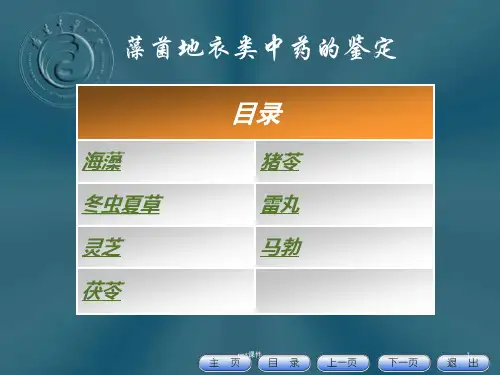 藻菌地衣类中药的鉴定  ppt课件
