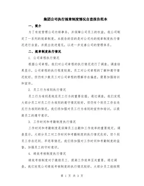 集团公司执行规章制度情况自查报告范本