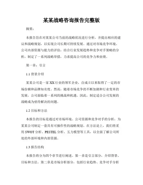 某某战略咨询报告完整版