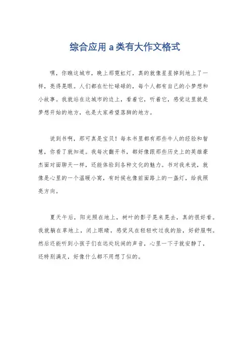 综合应用a类有大作文格式