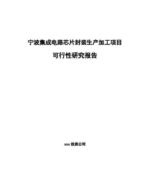 宁波集成电路芯片封装生产加工项目可行性研究报告