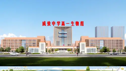 3.3《细胞核——系统的控制中心》(22张PPT)