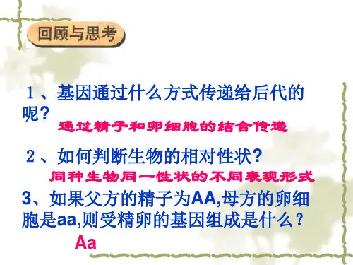 基因的显性和隐性PPT课件