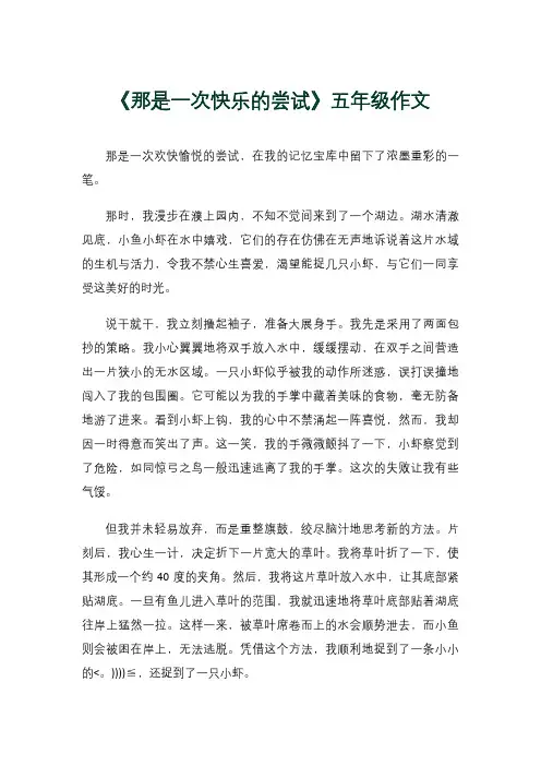 《那是一次快乐的尝试》五年级作文