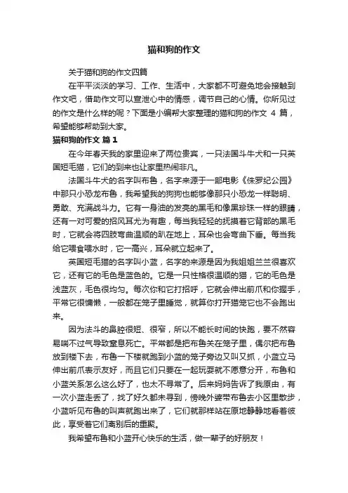 关于猫和狗的作文四篇