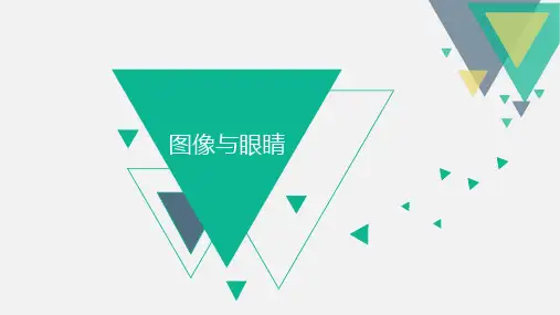 图像与眼睛 美术课件