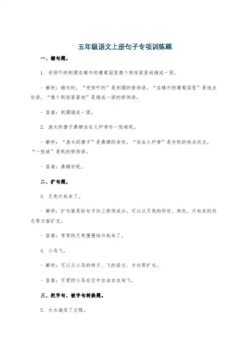 五年级语文上册句子专项训练题